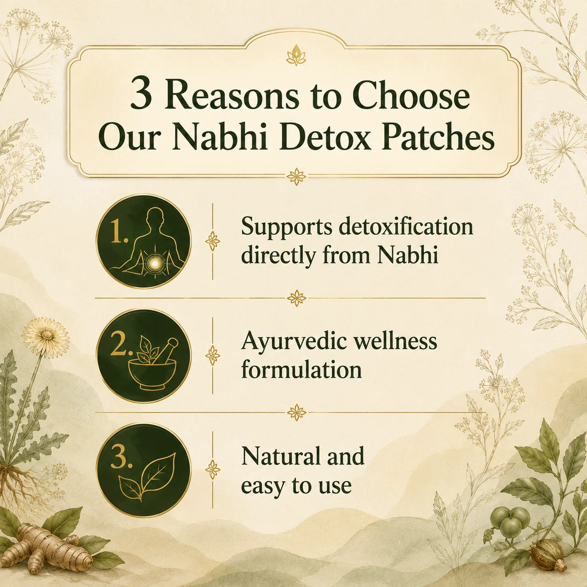 Nabhi Detox Paches (Buy 1 Get 1 Free)