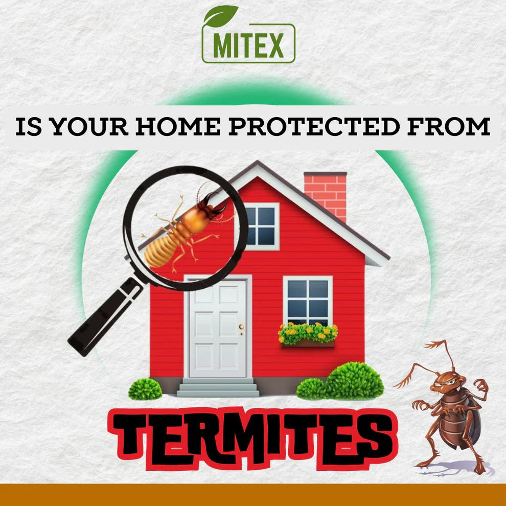 Termite Killer Spray - Effective Pest solution for your home (️🔥Buy 1 Get 2 Free️🔥)